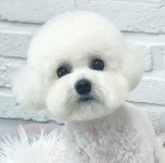우리몽
