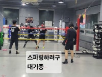 자이복싱