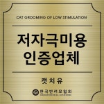 캣치유고양이미용호텔