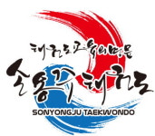 손용주태권도장