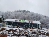 푸른산식당