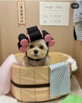 멍플