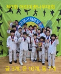 경희대최강태권도