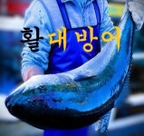 충청도7호