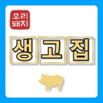 포항죽도생고집