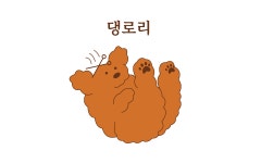 댕로리 애견미용실