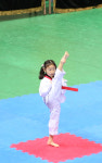 연세남부태권도