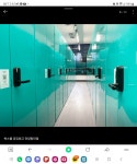 털보네이사