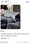 디오토팜