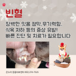 온누리동물의료센터