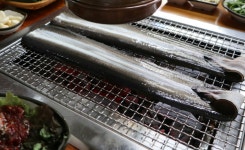 명가민물장어참숯불즉석구이