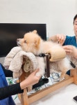 여기로양한방동물병원