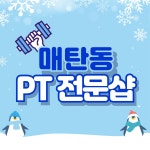바디스케치 PT 매탄동점