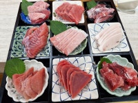 필참치