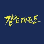 감삼태권도
