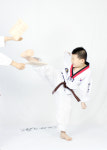 감삼태권도