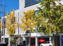 서울영상의학과의원