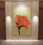 꽃비피부과의원 대구