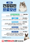 부천동물심장내과 건강검진센터