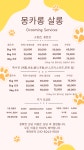 전주애견유치원 몽카롱