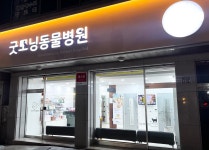 굿모닝동물병원