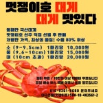 멋쟁이 수산