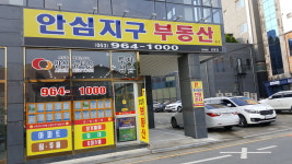 안심지구부동산중개