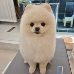 폴링인독