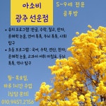 아소비 광주 선운점