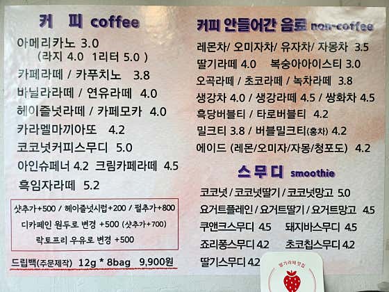 비바체 사진