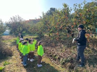 아이위드유치원