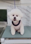 때빼고 광나개