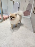 와와살롱