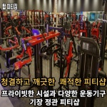 탑 피티짐