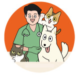 닥터맘마 24시 혁신도시점