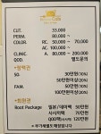 살롱블롱디캣츠