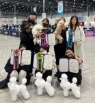 충남애견미용학원