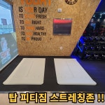 탑 피티짐