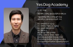 예스독 아카데미