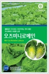오디가