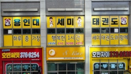 용인대세미태권도