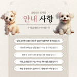 살랑살랑 멍치원 애견유치원