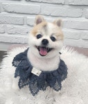 우리몽