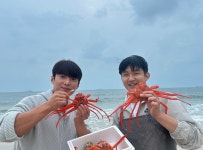 돌돌수산