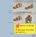 댕큐 애견유치원, 애견호텔