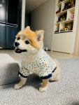 꿈꾸는놀이터