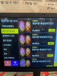 우돼끼리