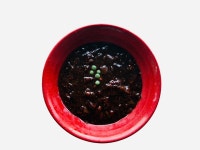 명승중화요리 신안지도점