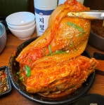 도담 1988