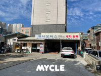 애니모터스